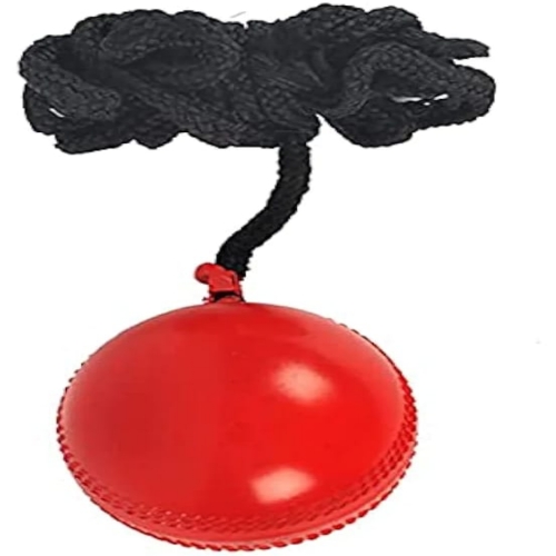 FITCOZI Cricket Practice PVC/Rubber Hanging Ball